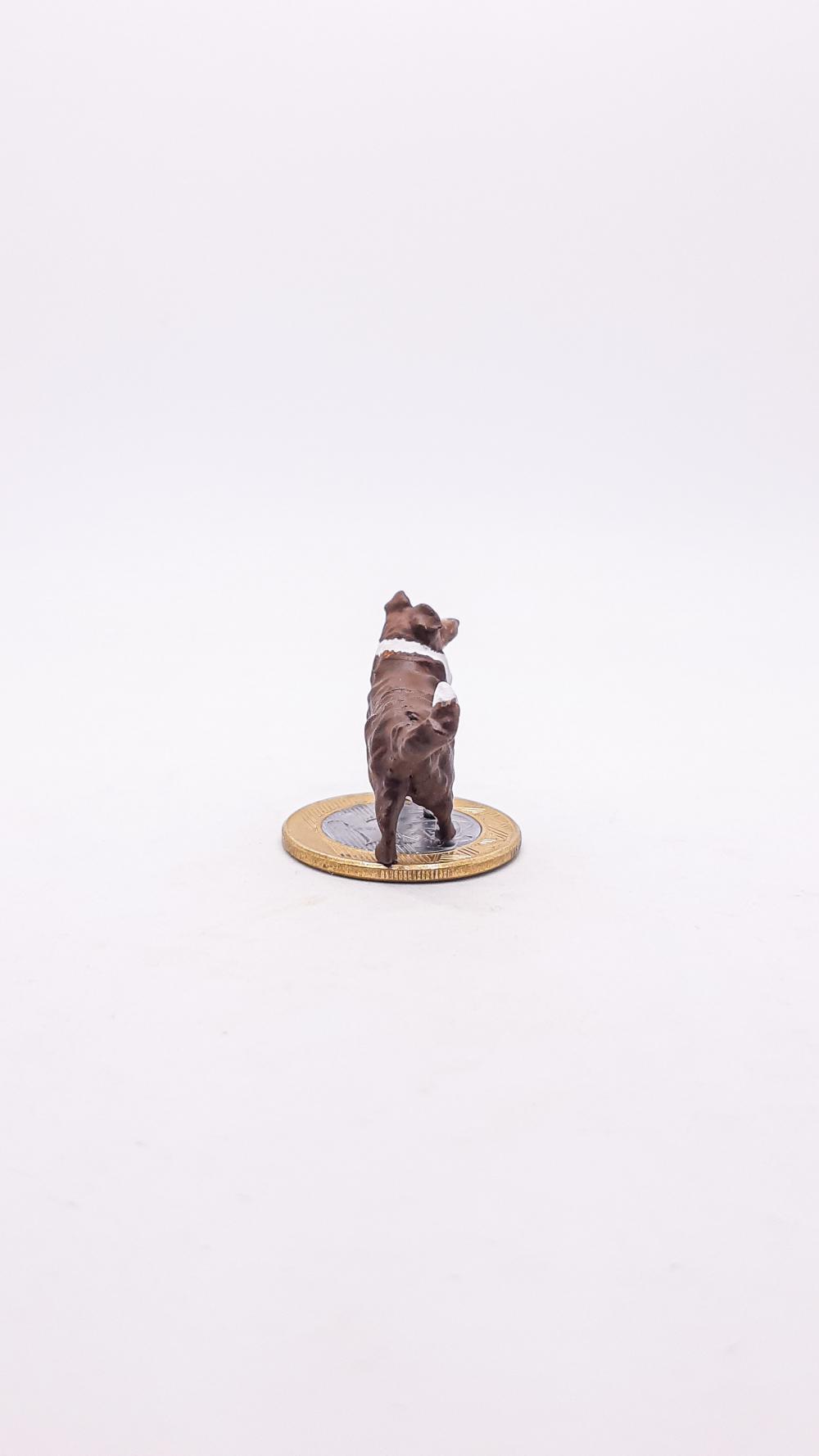 Border Collie Miniatura M302