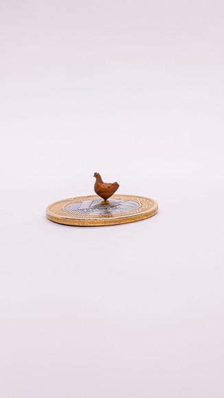 Galinha Miniatura M513