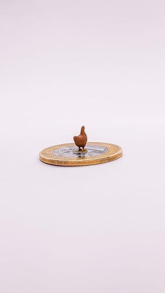 Galinha Miniatura M513