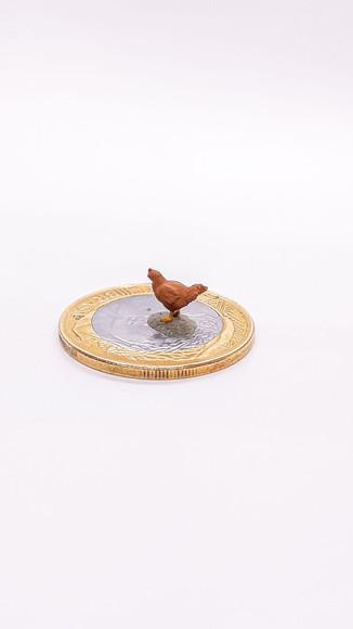 Galinha Miniatura M1040A