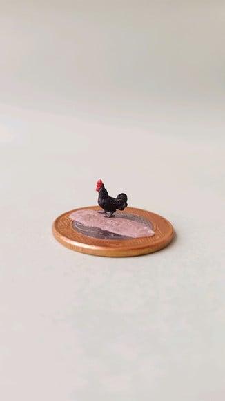 Galo Preto Miniatura M512