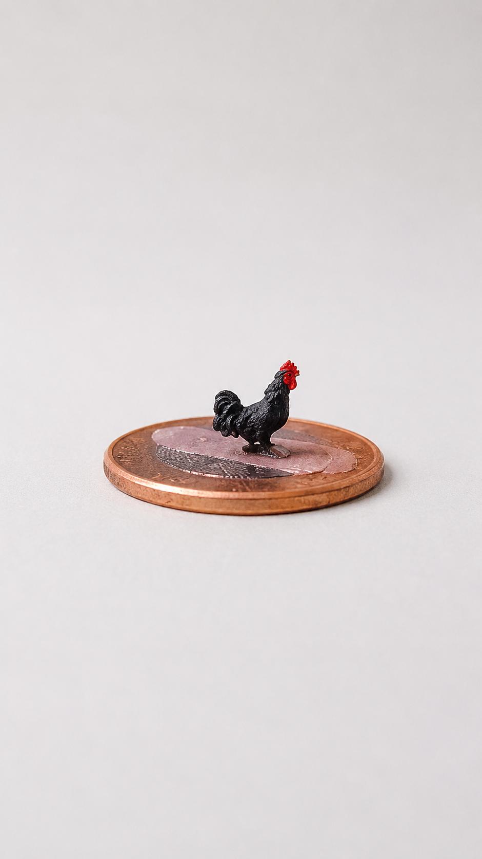 Galo Preto Miniatura M512