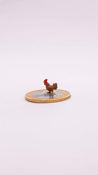 Galo Marrom Miniatura M512B