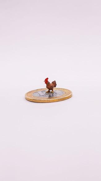 Galo Marrom Miniatura M512B
