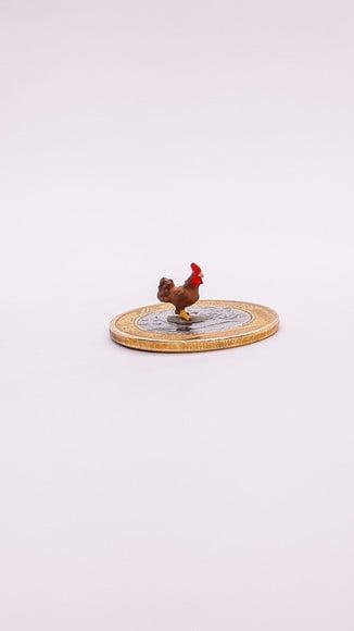 Galo Marrom Miniatura M512B