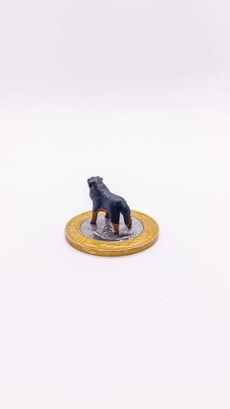 Cachorrinho Bernese Miniatura M24