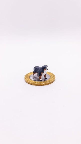Cachorrinho Bernese Miniatura M24