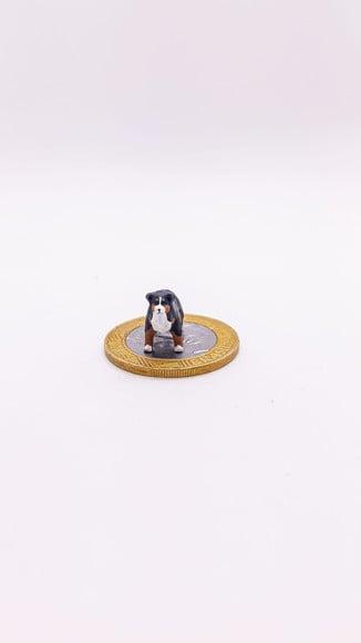 Cachorrinho Bernese Miniatura M24