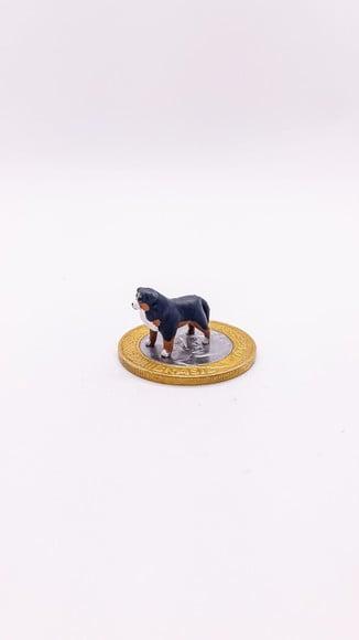 Cachorrinho Bernese Miniatura M24