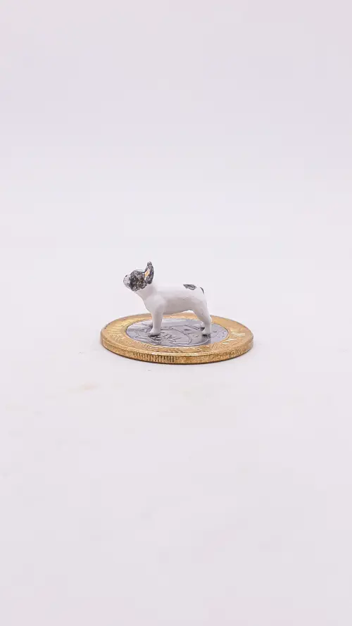 Buldogue Francês Miniatura M1236