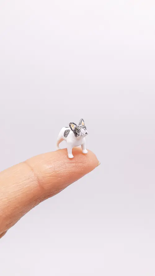 Buldogue Francês Miniatura M1236