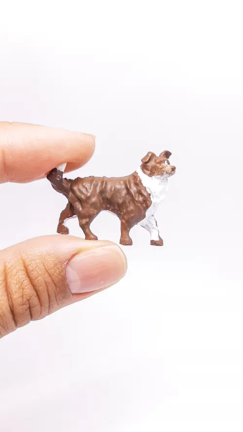 Border Collie Miniatura M302