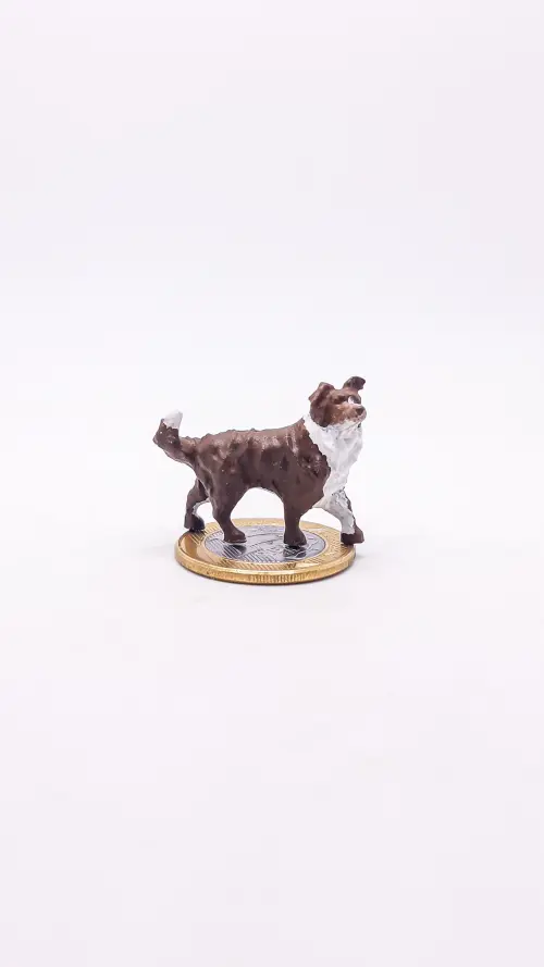 Border Collie Miniatura M302