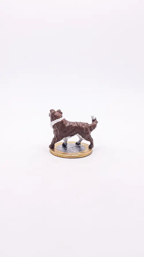 Border Collie Miniatura M302