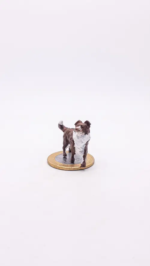 Border Collie Miniatura M302