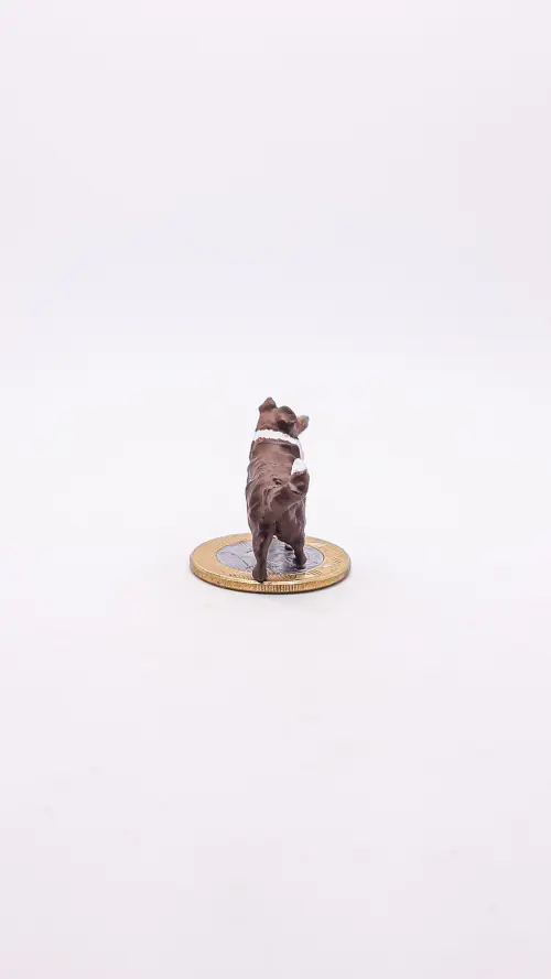 Border Collie Miniatura M302