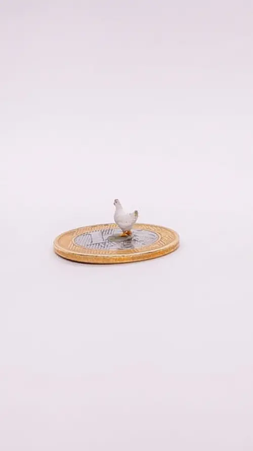 Galinha miniatura M513A
