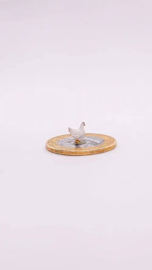 Galinha miniatura M513A