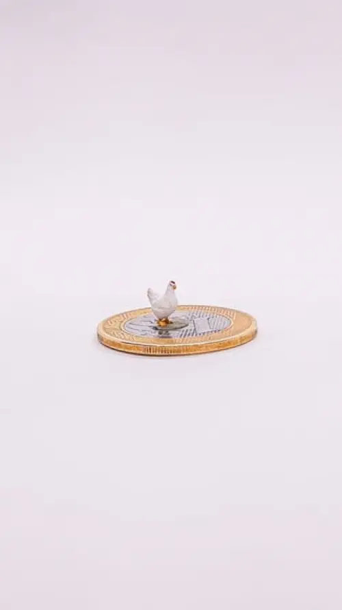 Galinha miniatura M513A