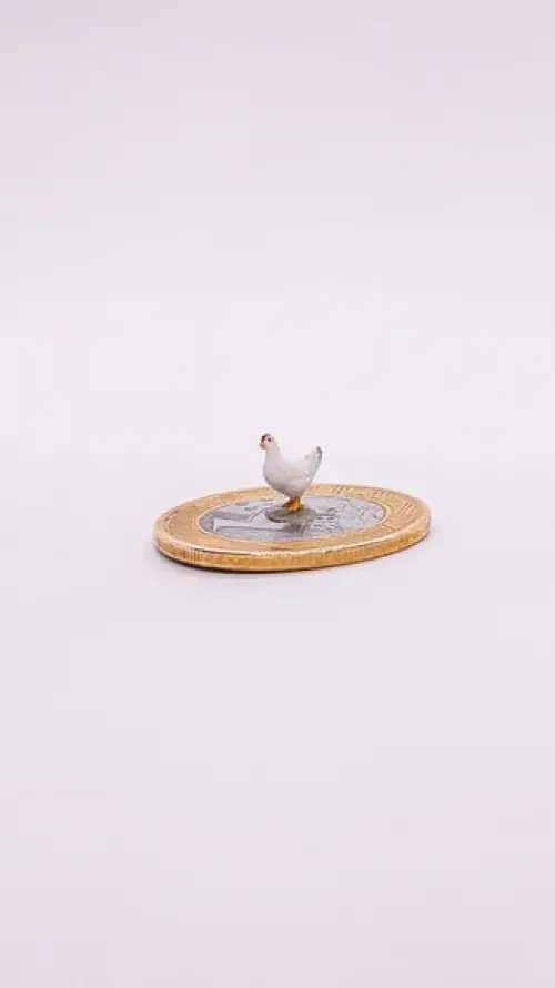 Galinha miniatura M513A