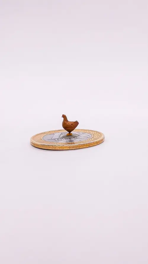 Galinha Miniatura M513
