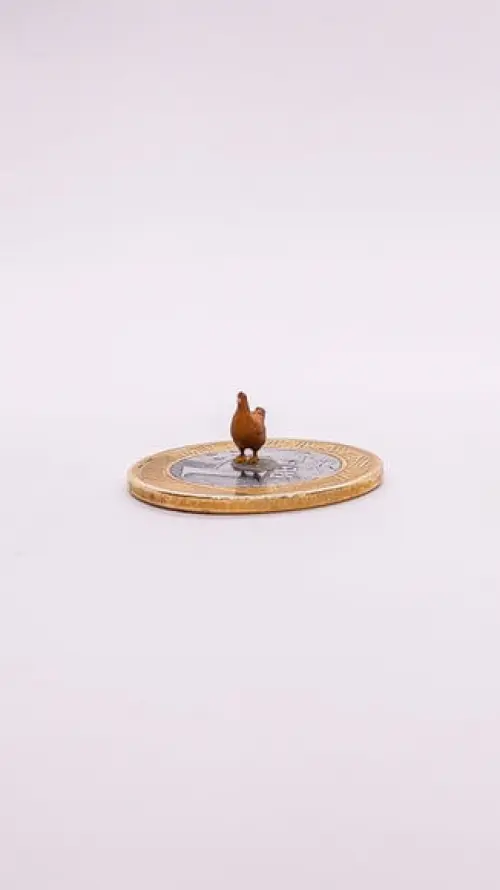 Galinha Miniatura M513