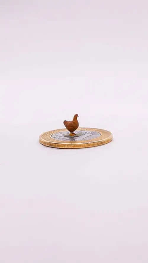 Galinha Miniatura M513