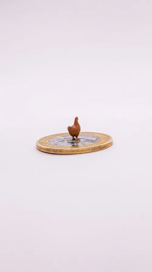 Galinha Miniatura M513