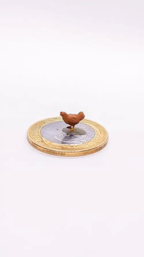 Galinha Miniatura M1040A