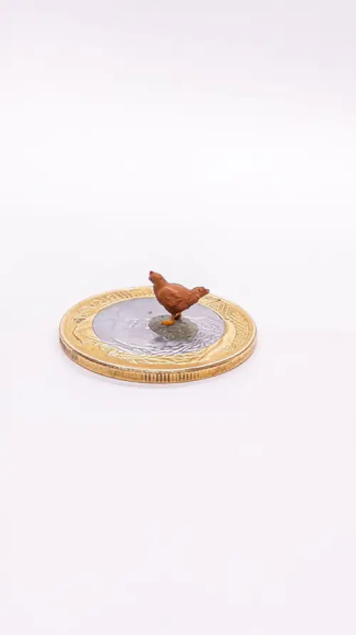 Galinha Miniatura M1040A