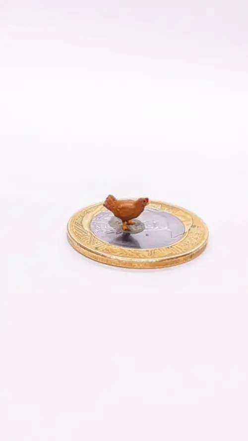 Galinha Miniatura M1040A