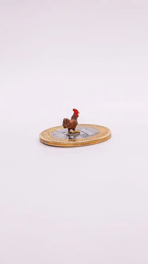 Galo Marrom Miniatura M512B