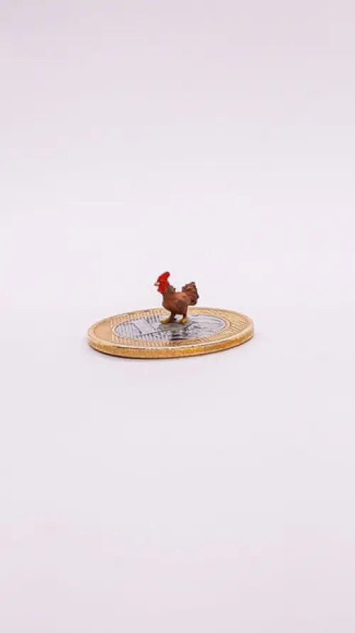Galo Marrom Miniatura M512B