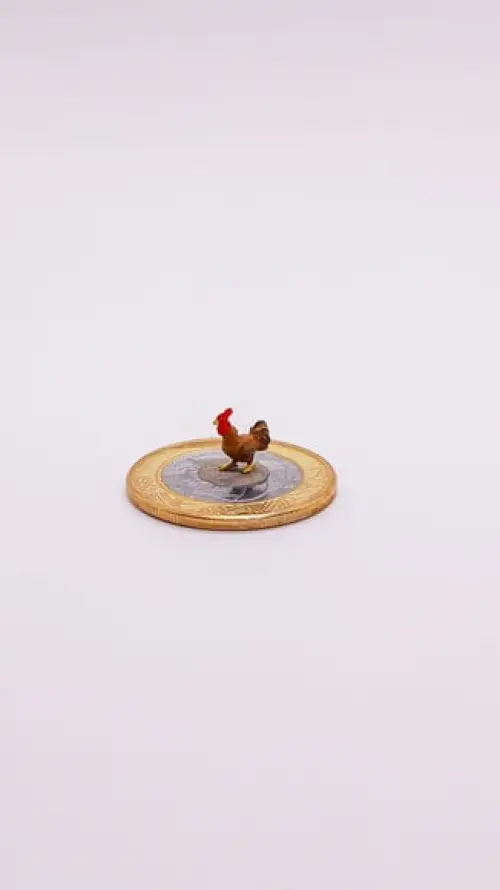 Galo Miniatura M512A