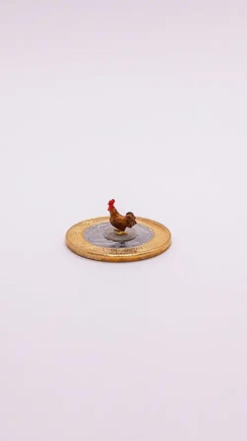 Galo Miniatura M512A