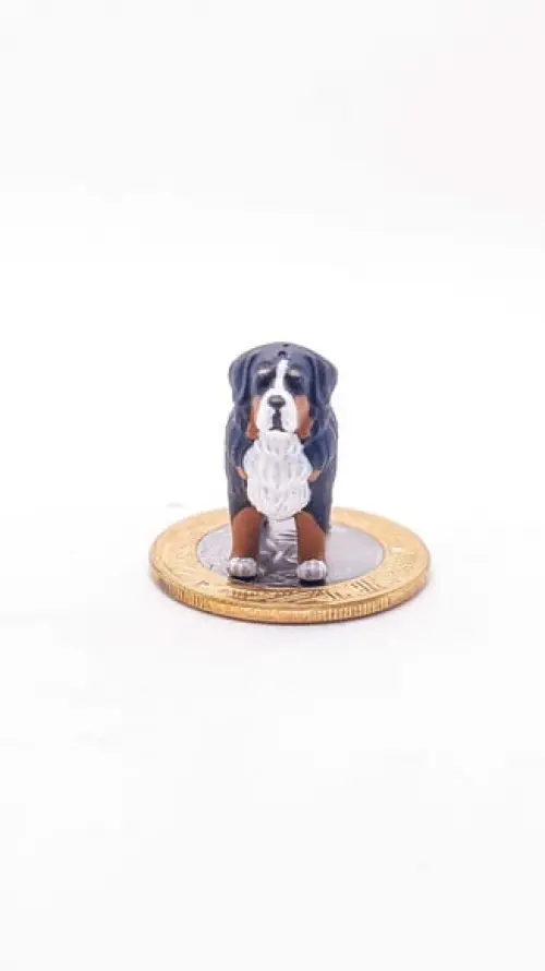 Cachorrinho Bernese Miniatura M1227