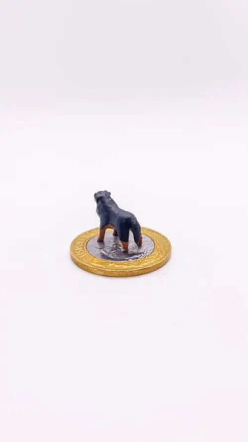 Cachorrinho Bernese Miniatura M24