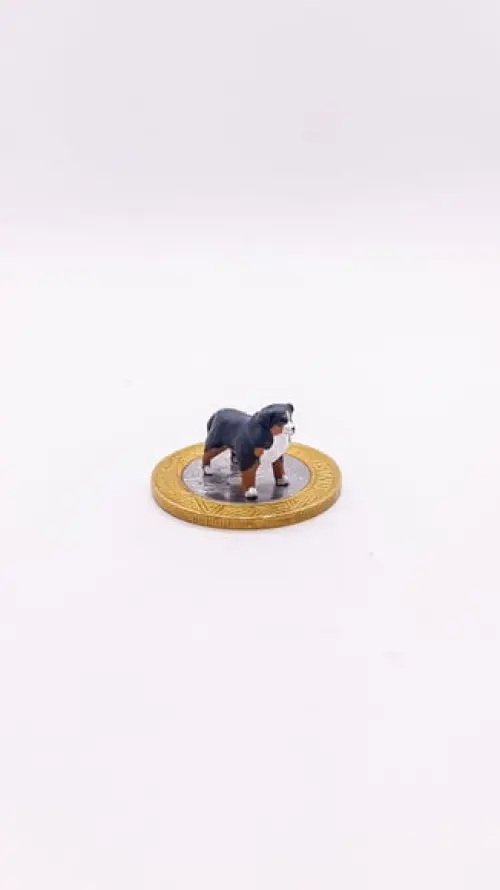 Cachorrinho Bernese Miniatura M24
