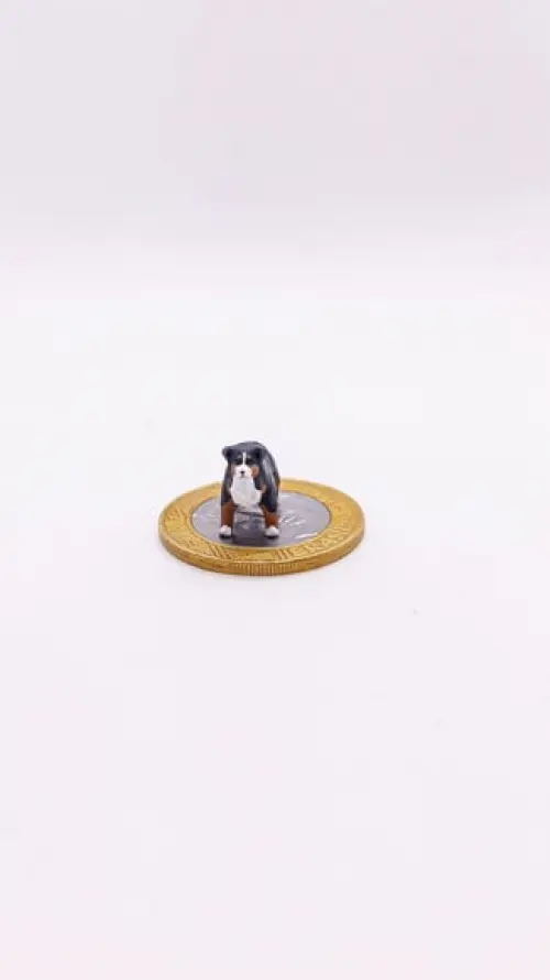 Cachorrinho Bernese Miniatura M24