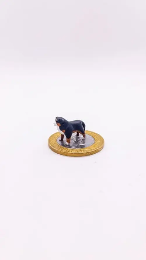 Cachorrinho Bernese Miniatura M24