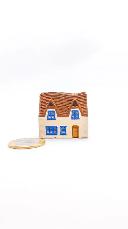 Casinha Miniatura M485D