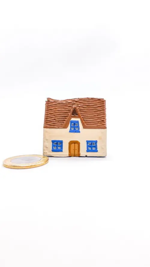 Casinha Miniatura M485D