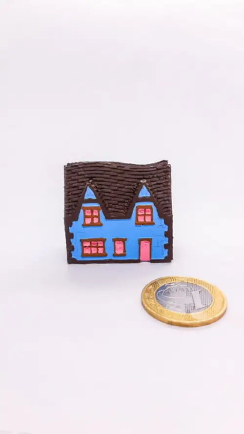 Casinha Miniatura M485H