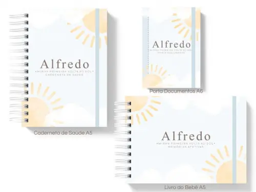 Kit Caderneta de Saúde + Livro do Bebe + Porta Documentos