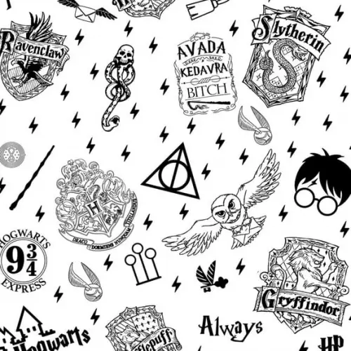 Papel de parede Adesivo Harry Potter