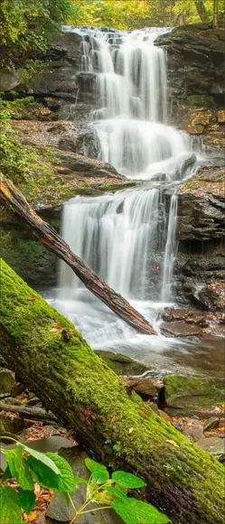 Adesivo Porta Cachoeira 03