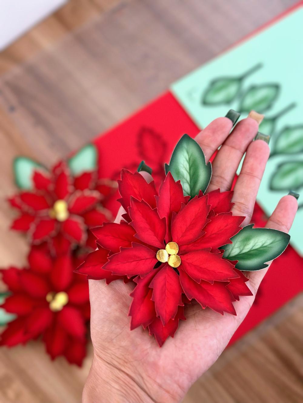 flor de natal