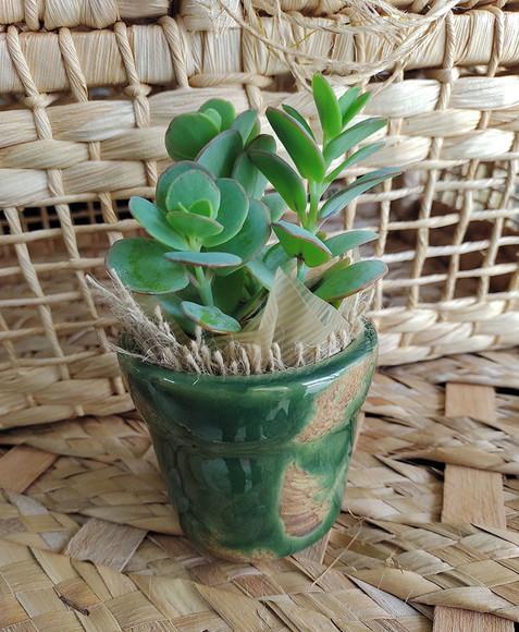Vaso Ceramica