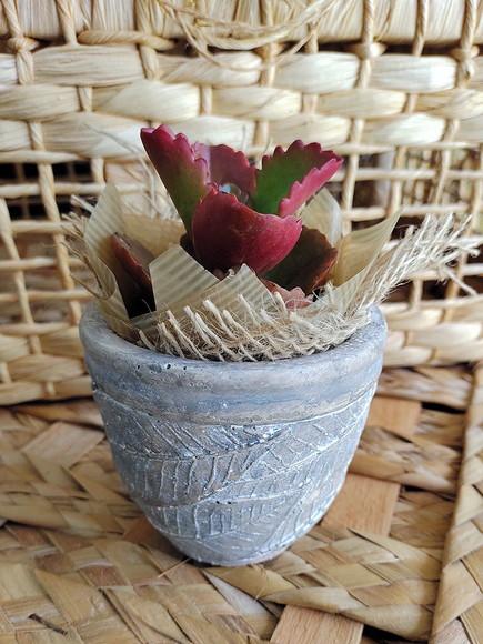 Vaso Terracota Envelhecido - Folhas