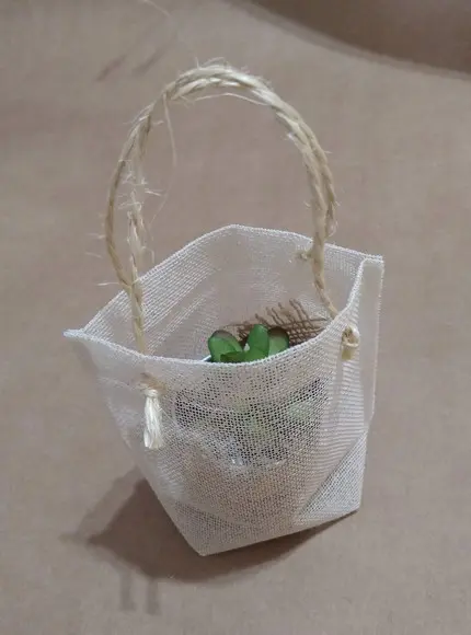 Sacolinha para Suculentas